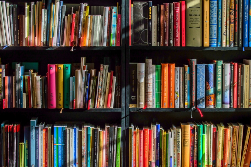 magasin-CARNOULES-min_books_bookstore_book_reading_shop_writer_sale_books_read-822866